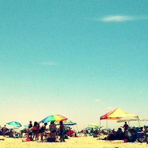 Meet your Posher, Ninoshka